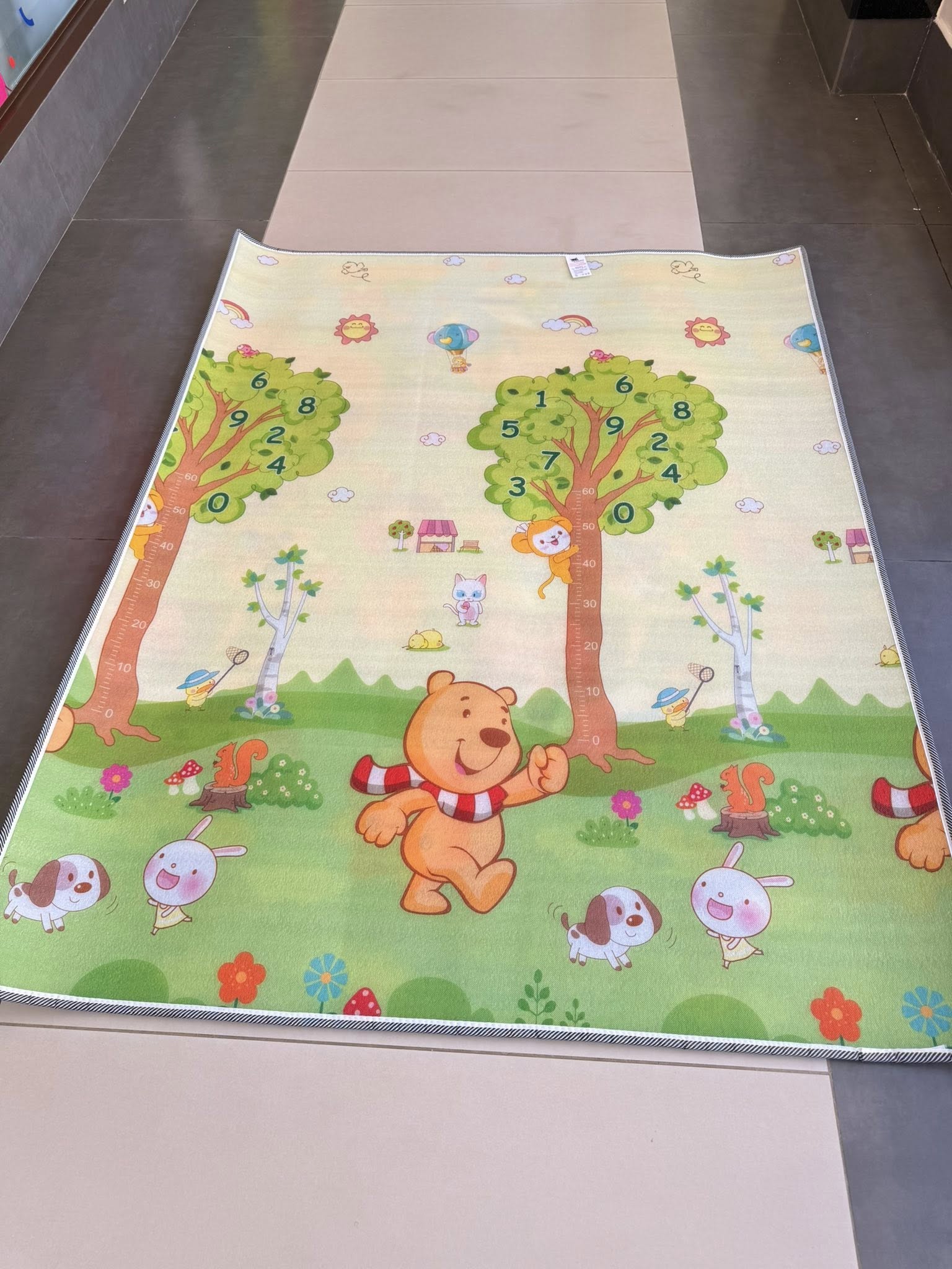 Baby Playmat